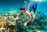 Lặn Nổi Snorkeling Tại Cù Lao Chàm