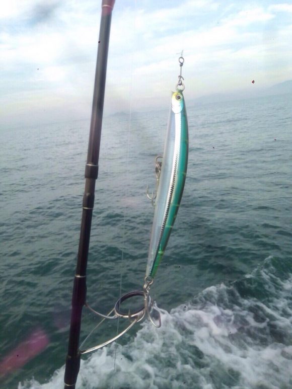 Tour Cau Ca Da Nang 5